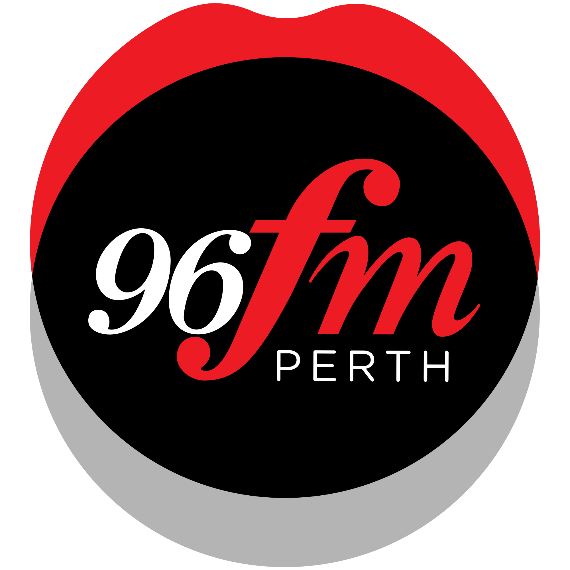 Media Partner